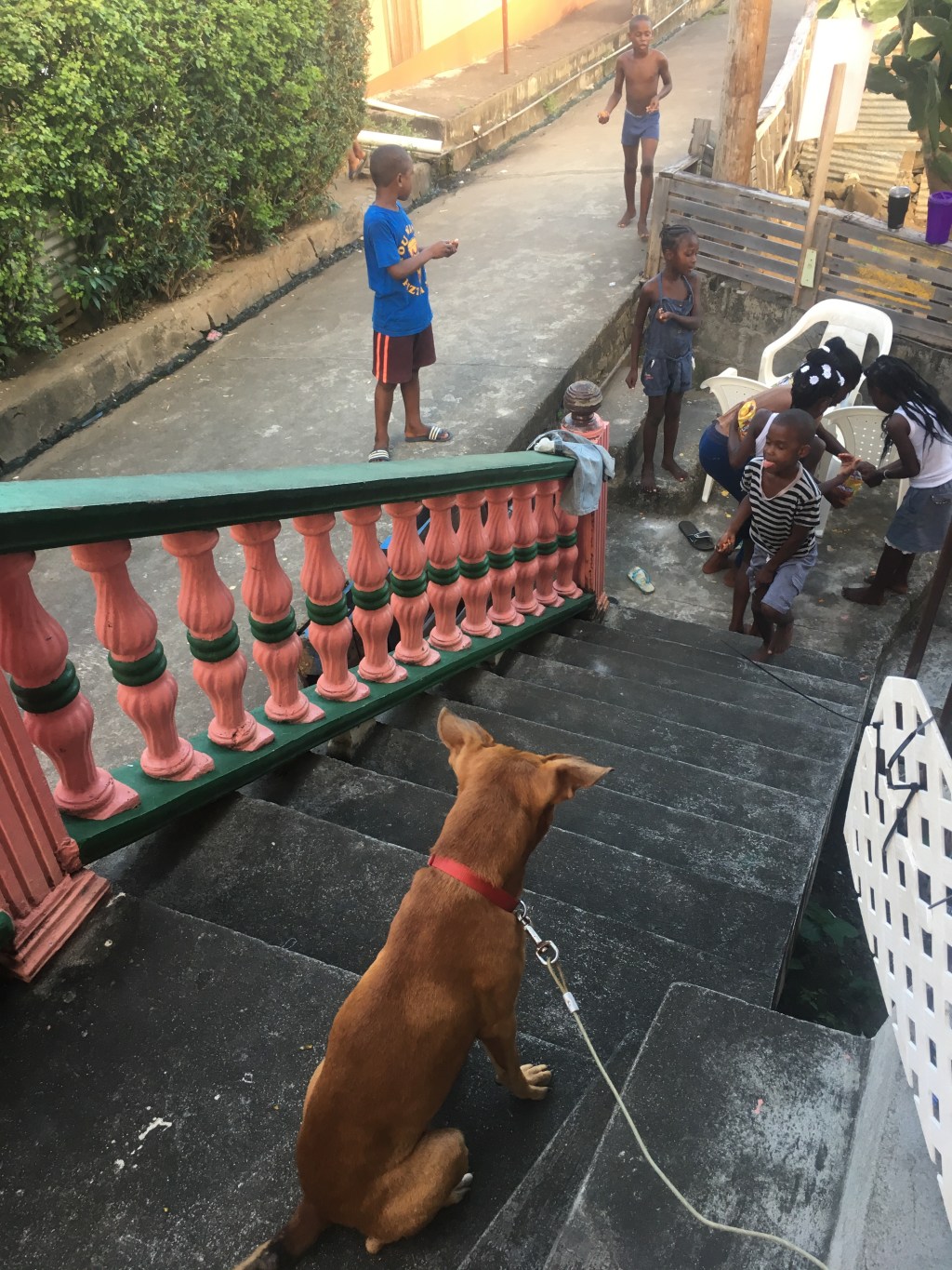My (Literal) Steps of Hospitality