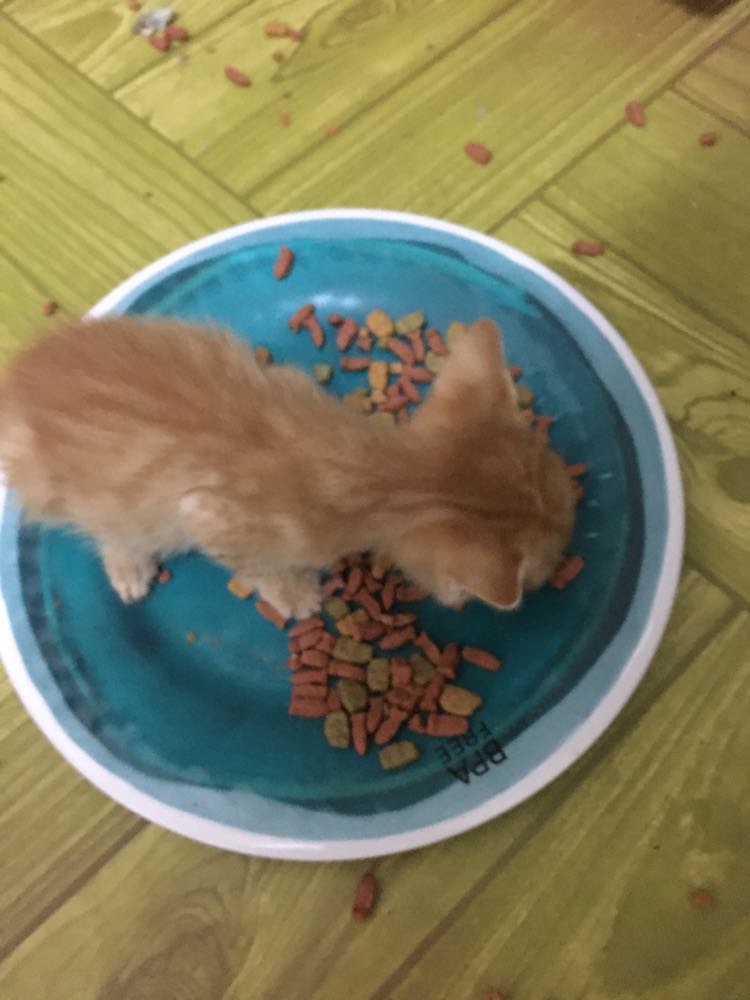 No More Baby&nbsp;Food
