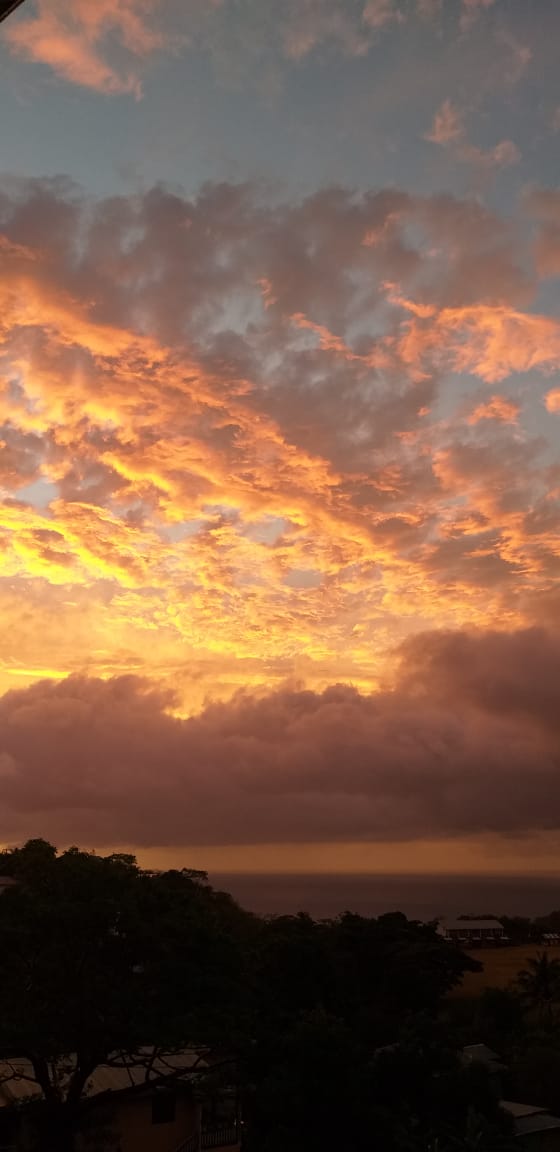 Moments of Majesty