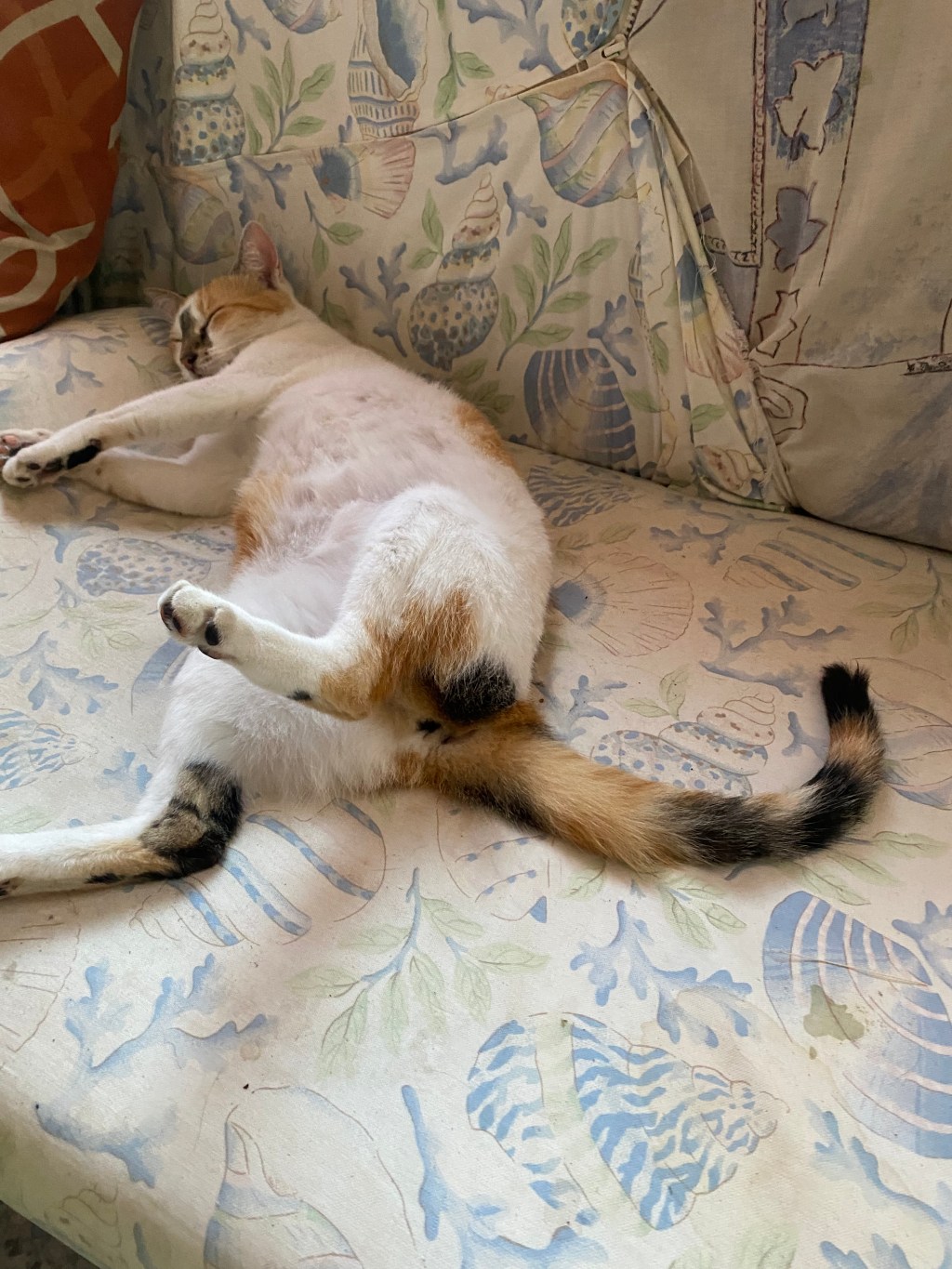 A Sleep of&nbsp;Peace