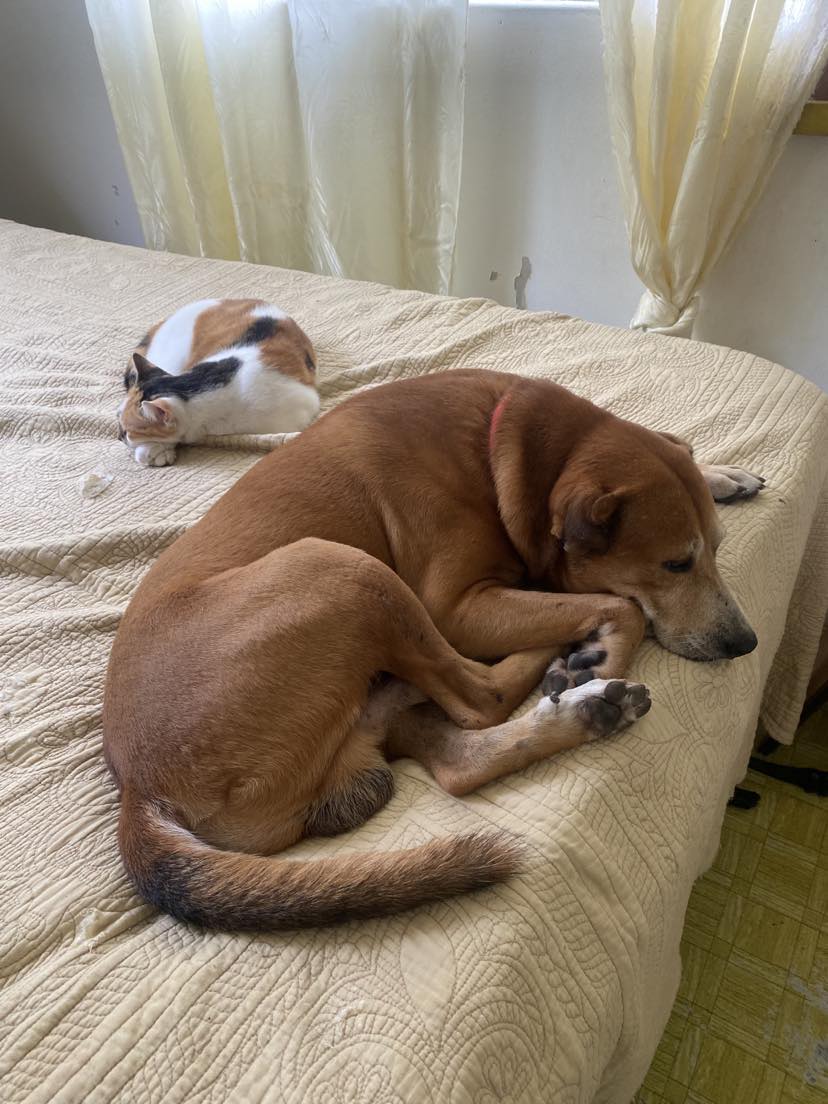 The Importance of&nbsp;Naps