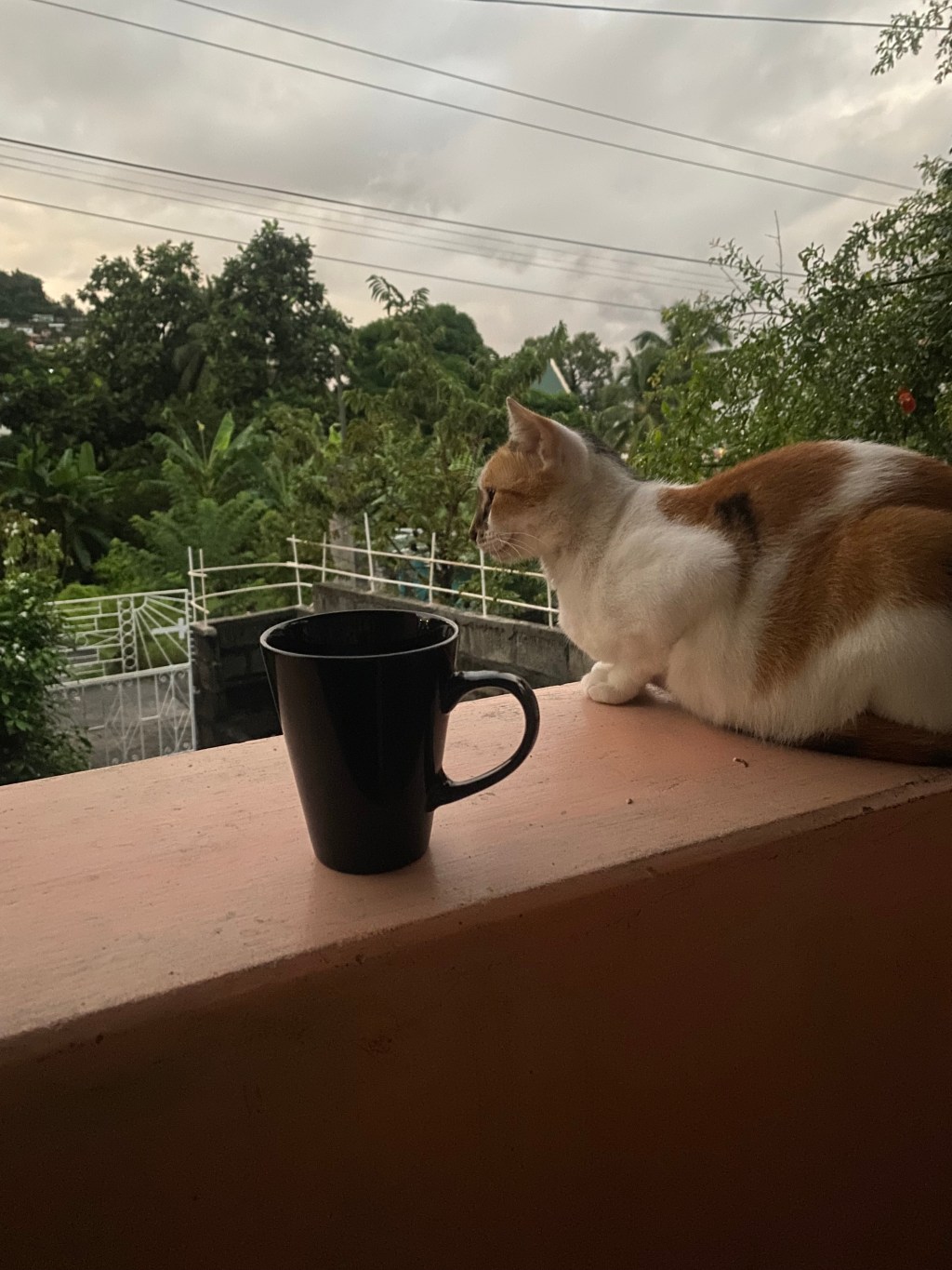 The Quiet Morning Hours